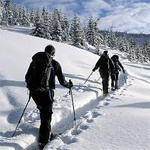 Back-country ski poles