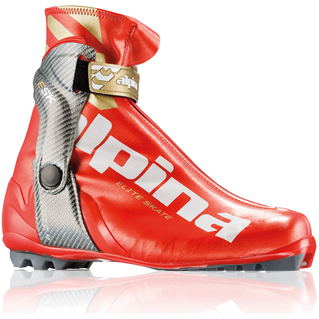 alpina nordic ski boots