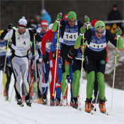 Bâtons de ski de course