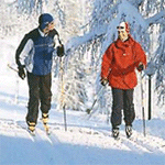 Touring ski poles